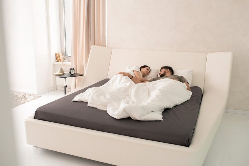 Chambre à coucher avec un grand matelas double adapté à un couple